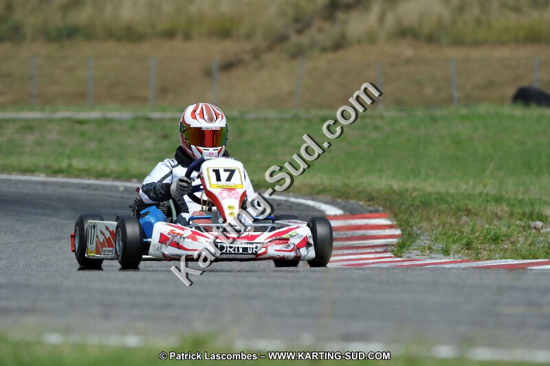 DSC_ (452).jpg